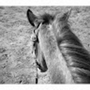 Meet your Posher, Sandie